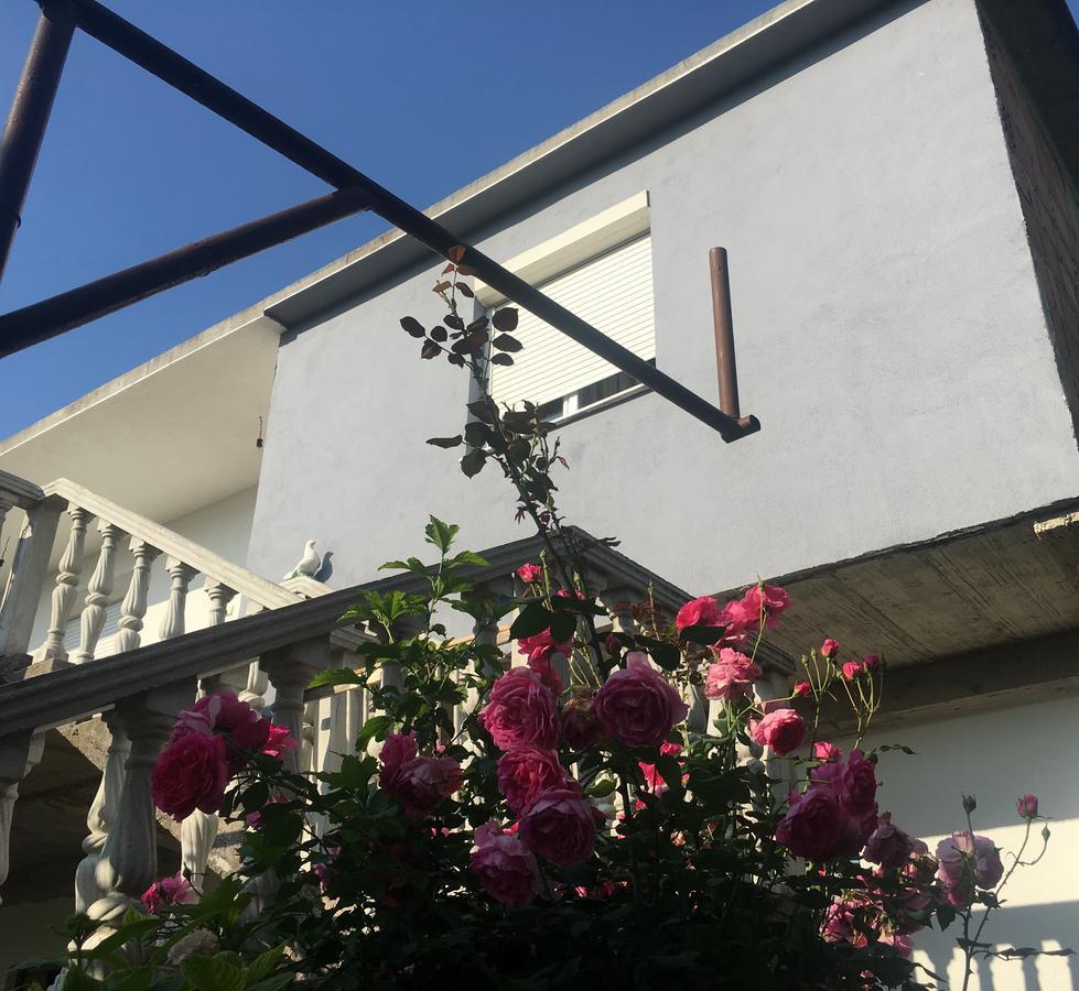 موستار Guesthouse Star المظهر الخارجي الصورة