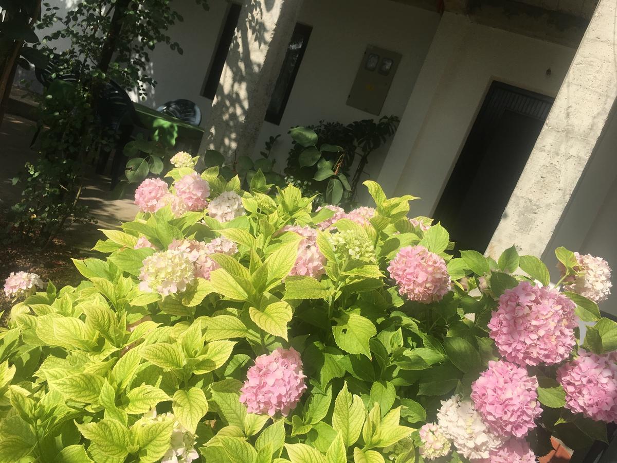 موستار Guesthouse Star المظهر الخارجي الصورة